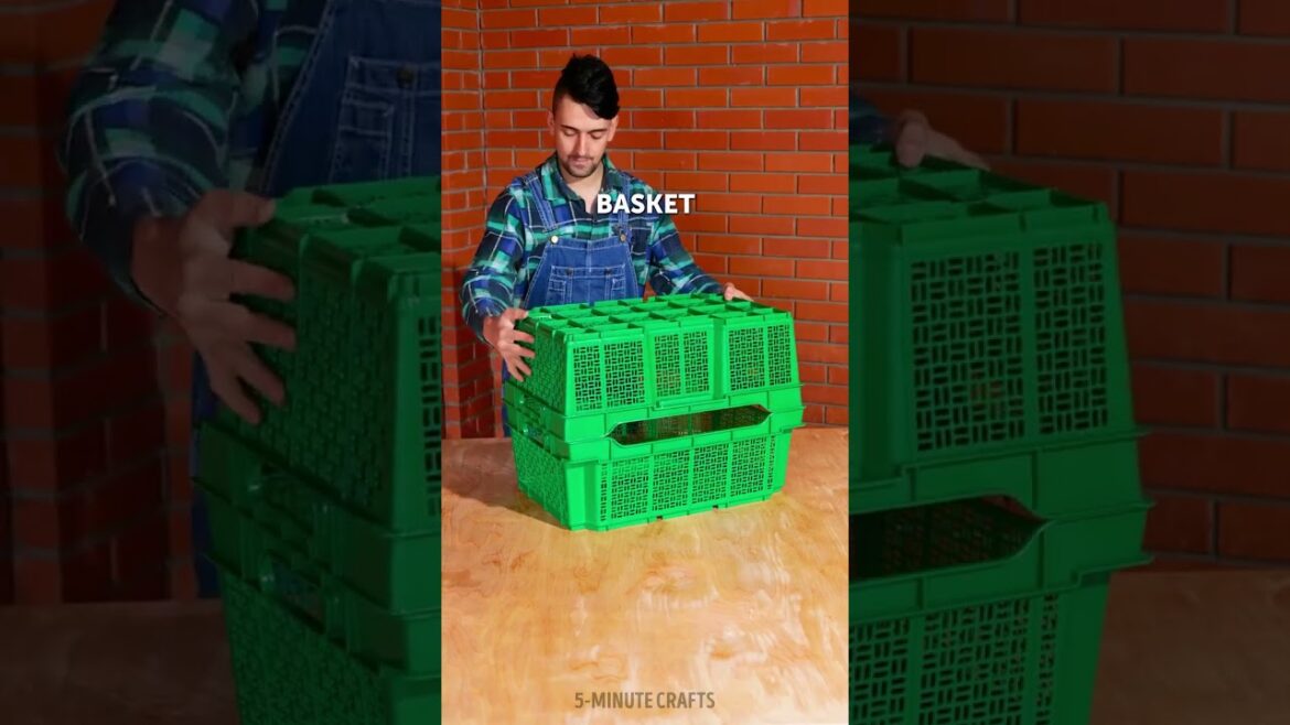 YOUR NEW HOBBY THIS SPRING! Gardening tips and tricks for plant lovers💚