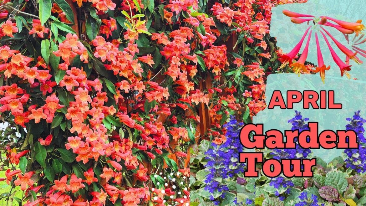 A Beautiful Texas Backyard Garden Tour in April! Spring is HERE! #northtexasgarden #spring A Beautiful Texas Backyard Garden Tour in April! Spring is HERE! #northtexasgarden #spring