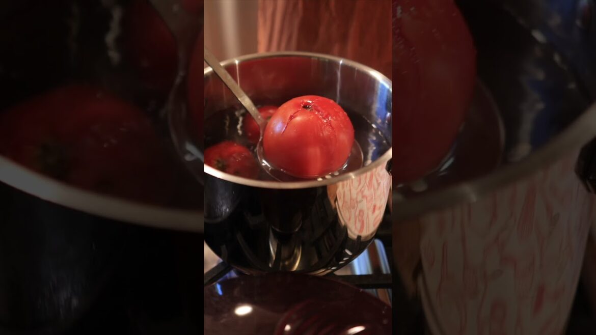 PEEL Tomatoes in SECONDS with This Simple Trick #organicgardener #gardening #canningandpreserving