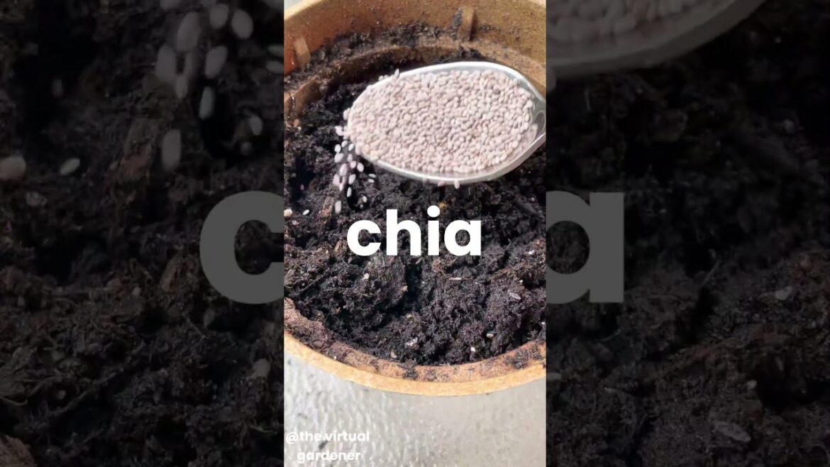 fastest growing vegetables for impatient gardeners fastest growing vegetables for impatient gardeners