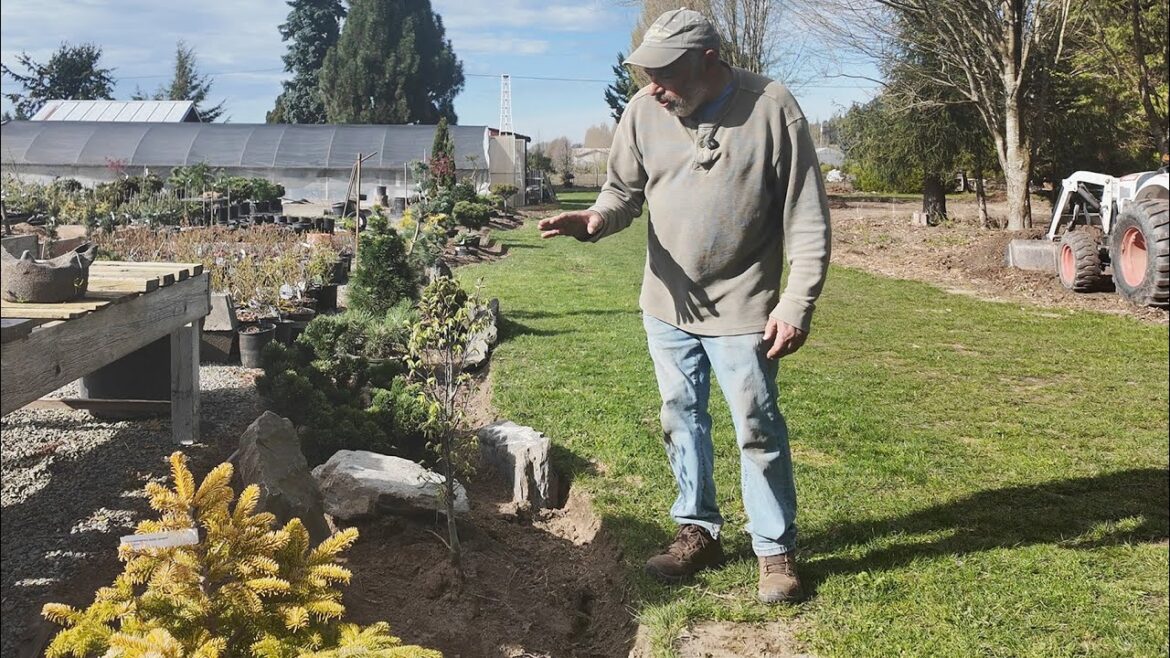 New Conifer Beds – How to Landscape with Conifers New Conifer Beds - How to Landscape with Conifers
