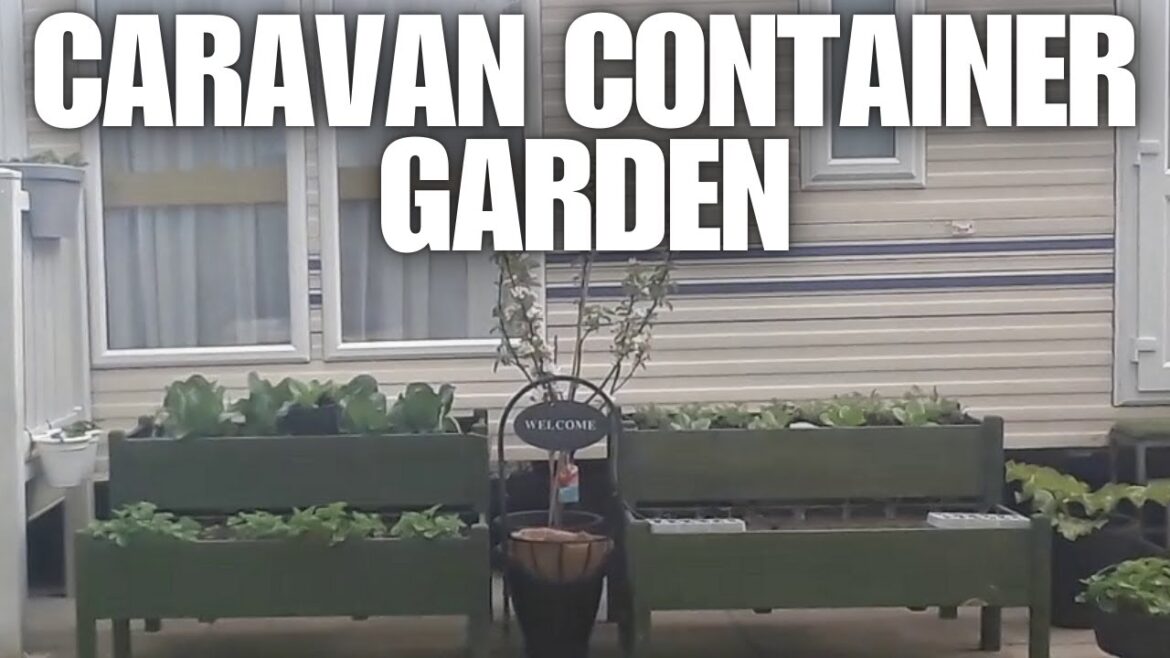 Container Vegetable Gardening [Container Gardening ]