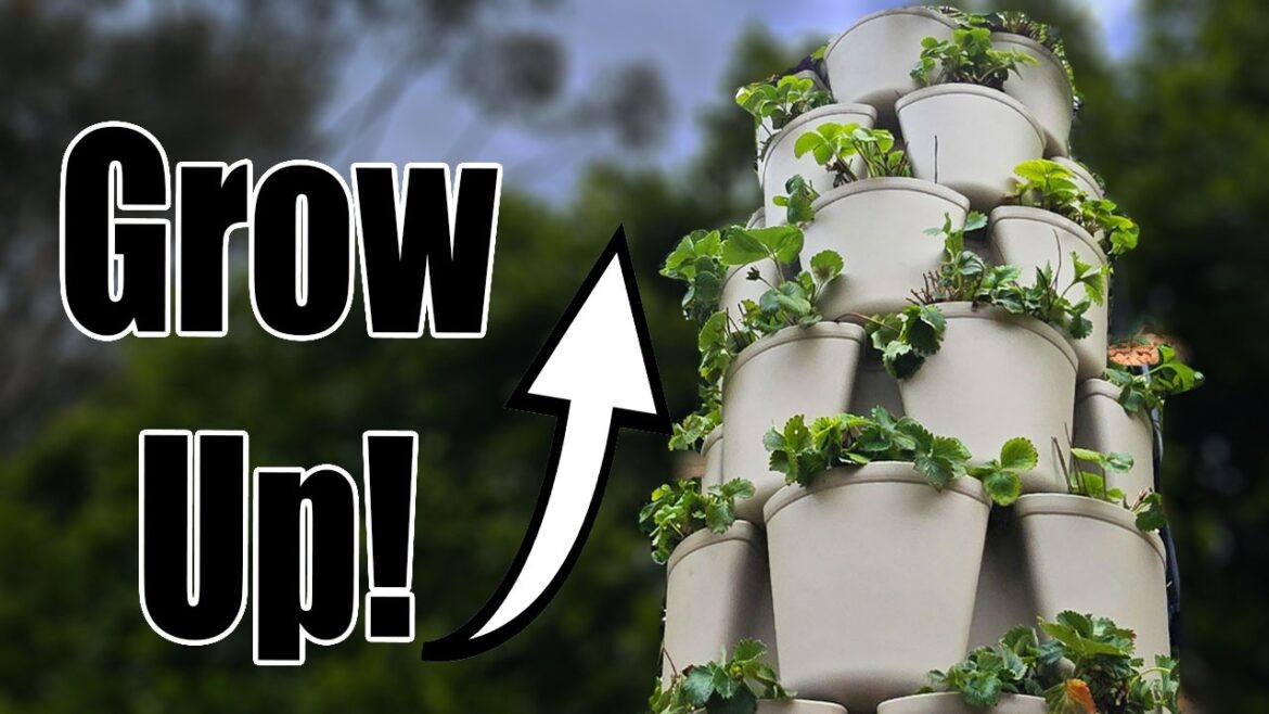 Tiny Patio? Grow BIG with This Vertical Garden Hack