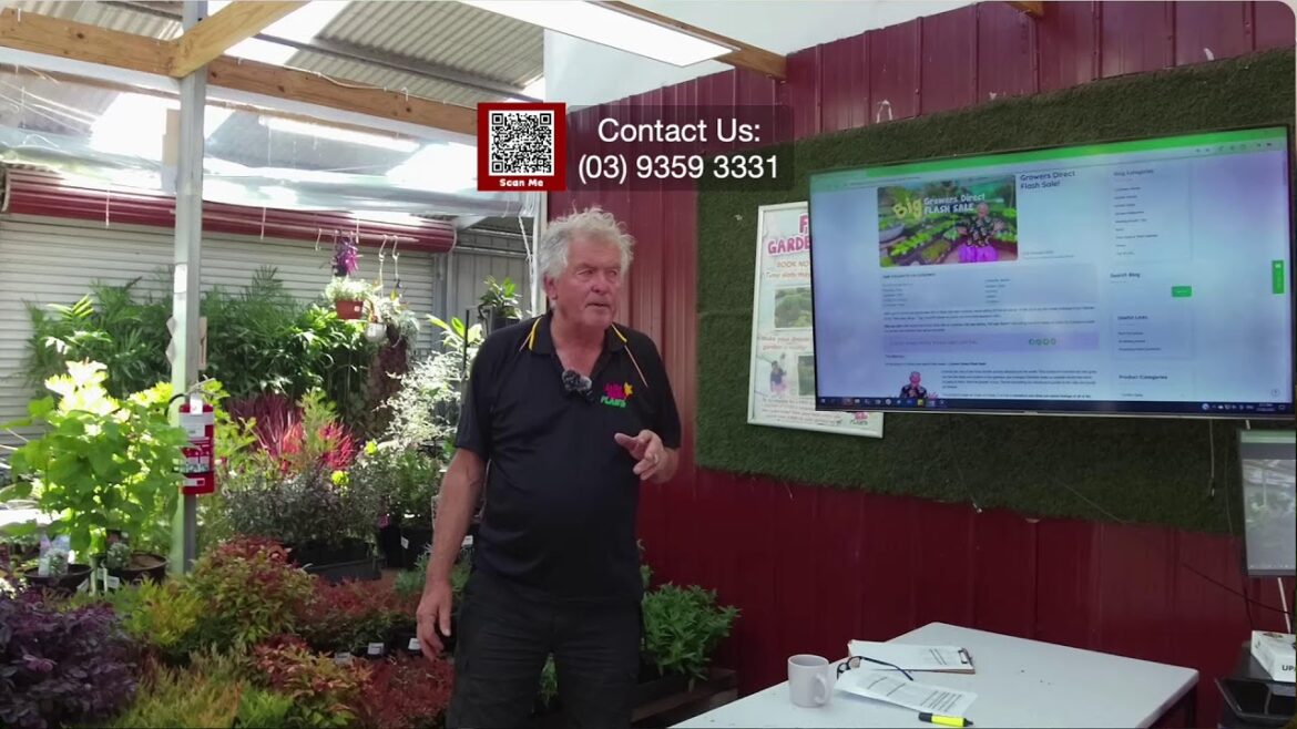 Unbelievable! 100 New Specials Revealed at Hello Hello Plants Growers Direct Flash Sale!! Unbelievable! 100 New Specials Revealed at Hello Hello Plants Growers Direct Flash Sale!!