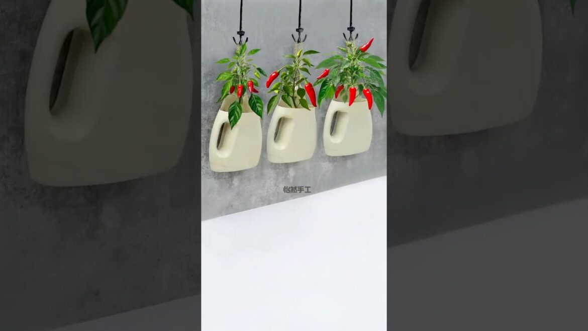 Plants Decorate Hanging Balcony Garden Ideas, recycle plastic bottles turned into pots #shorts #diy