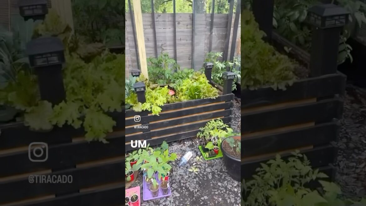 Spring Garden Tour | What I’m Growing This Season + Future Planting Plans #plantingideas #greenhouse Spring Garden Tour | What I’m Growing This Season + Future Planting Plans #plantingideas #greenhouse