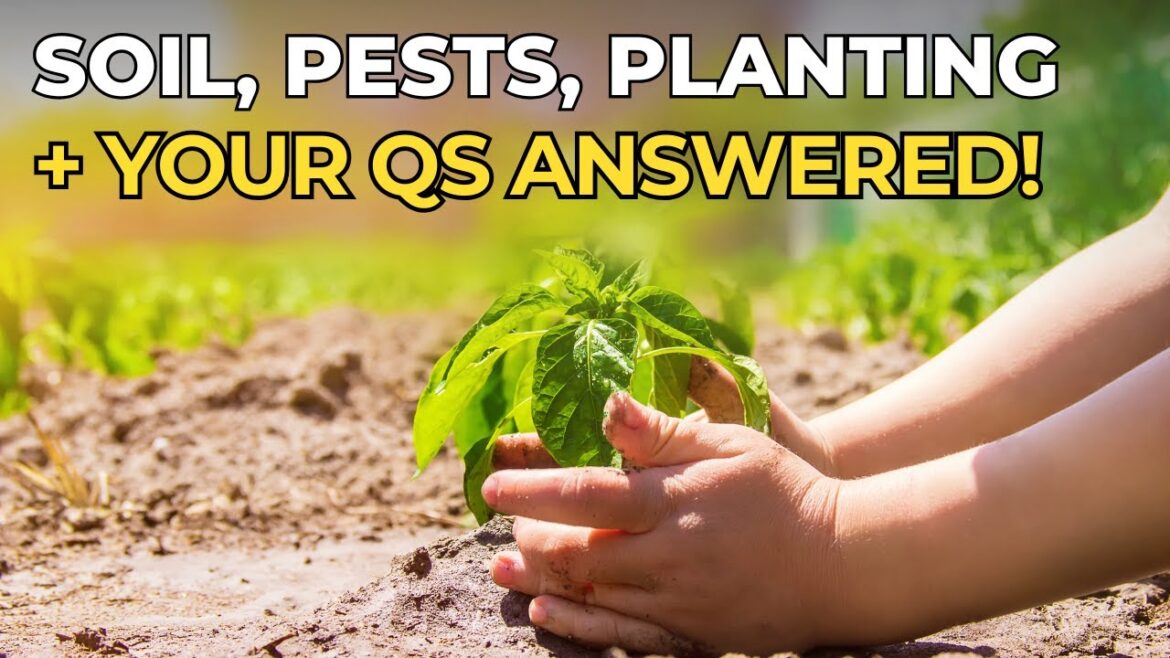 Top 5 Spring & Summer Gardening Tips + Your Questions Answered! 🌿