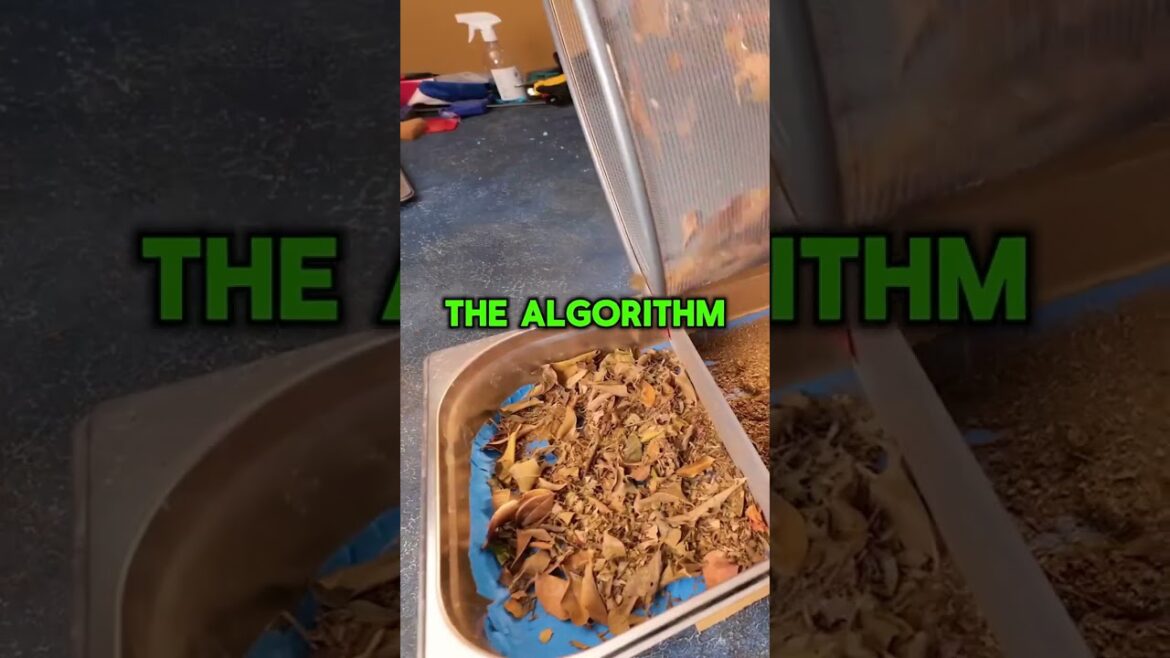 I am a bald white guy watching hair braiding YouTube videos #askreddit #reddit #stories I am a bald white guy watching hair braiding YouTube videos #askreddit #reddit #stories