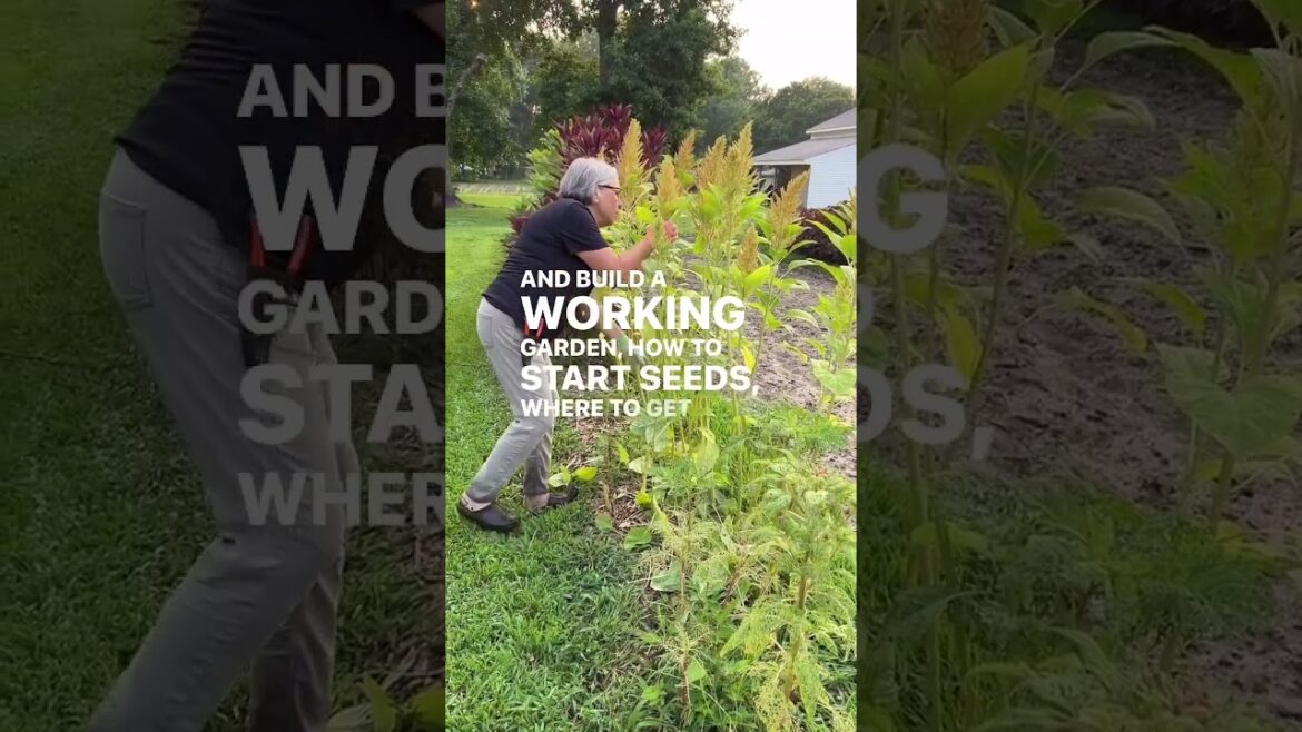 Need help becoming a flower farmer? It’s available