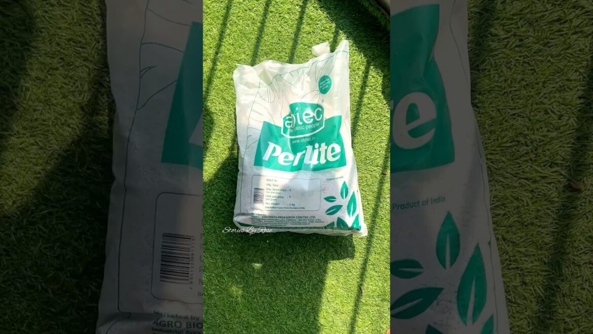 Adding Perlite 🪴🪴#youtubeshorts #shortsfeed #garden #pottingmix #perlite #gardentips #plants #soil