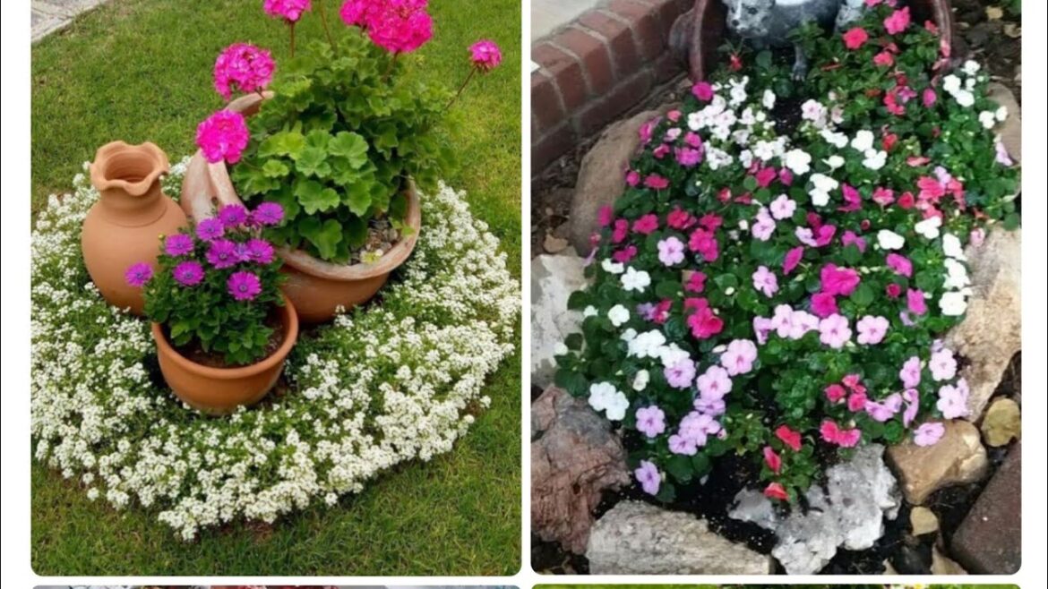 Ideas for small garden design | Small yard landscaping ideas