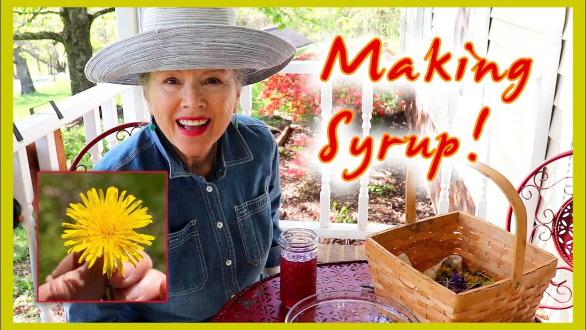 Kaye Kittrell: Picking and Making Dandelion and Violet Syrups! Big Surprise! Full instructions! Picking and Making Dandelion and Violet Syrups! Big Surprise! Full instructions!
