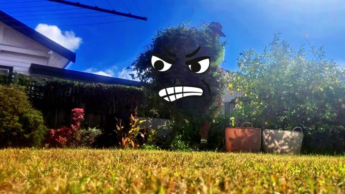 Gardener Reveals Way To Trim Jasmine & more