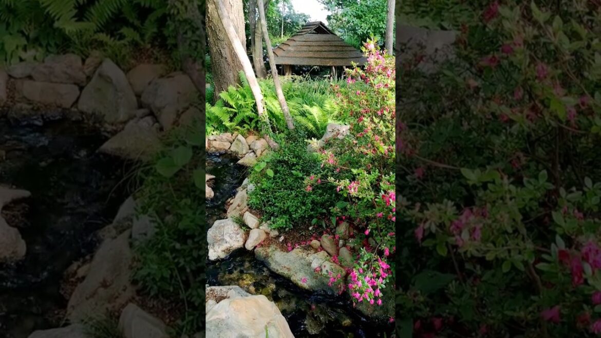 Need First Stress Relief Aid?  Relax With This Cozy Japanese Garden #natureshorts #relaxation