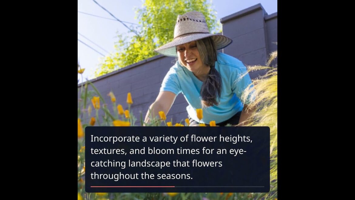 Embrace Meadowscaping: The New Trend in Natural Gardening Embrace Meadowscaping: The New Trend in Natural Gardening
