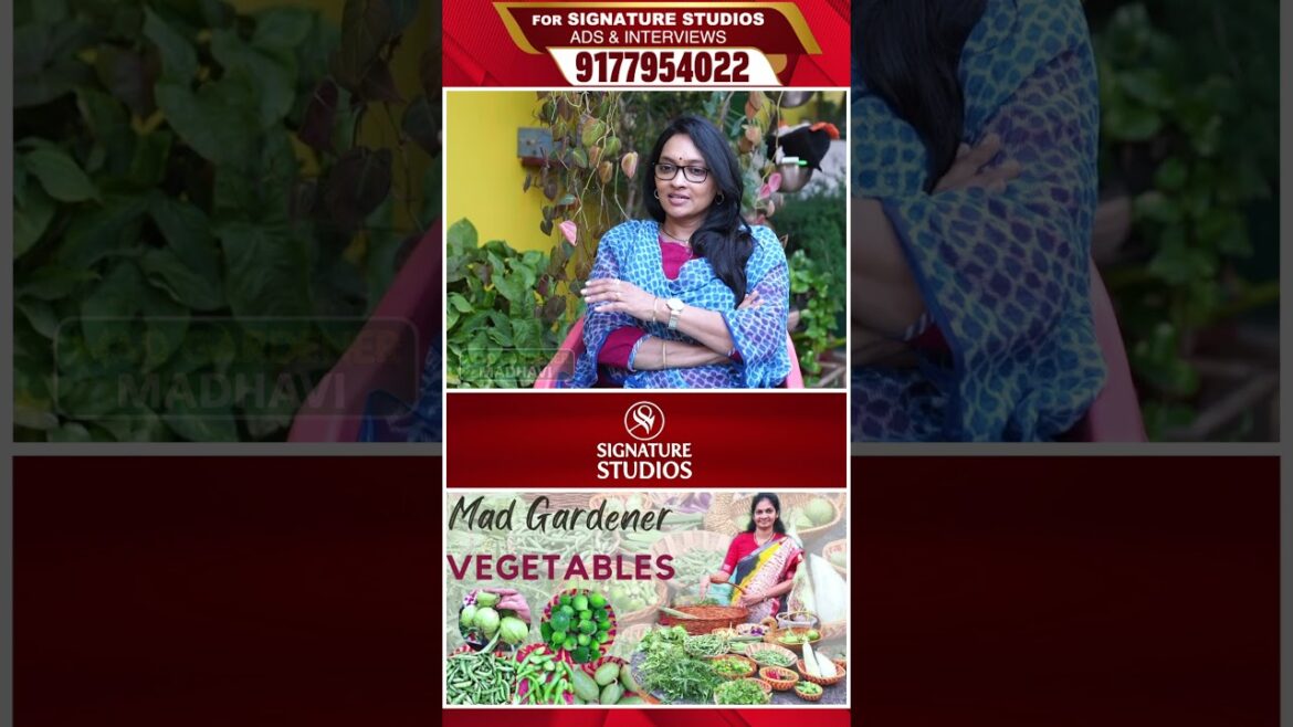 అలా కోసుకొని ఇలా వండుకోవడమే |@MADGARDENER Mad Gardener Madhavi Special Interview | Signature Studios