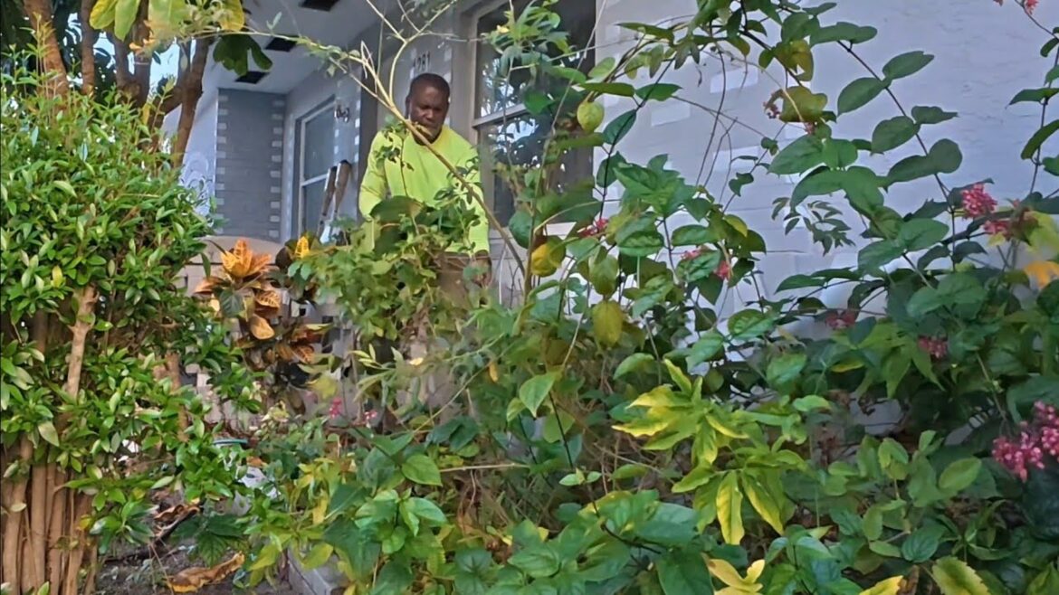 A front YARD LANDSCAPING cleanup, FAMILY GRIEVING a HUSBAND/DAD'S DEATH