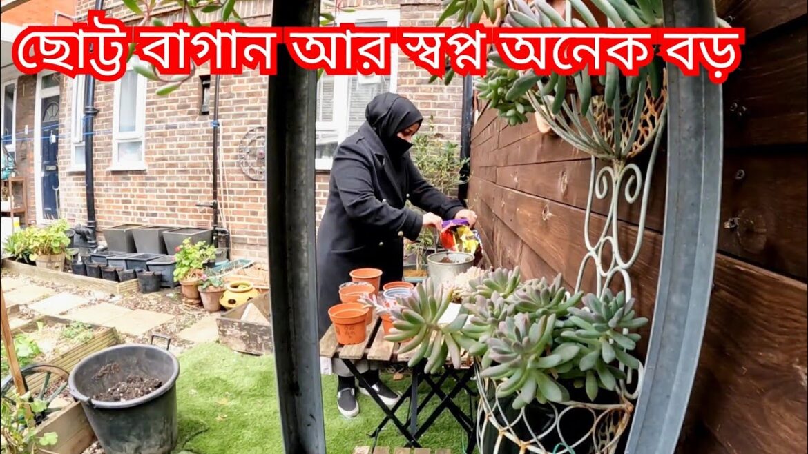 London small front yard.preparation for Bangladeshi vegetable 🥒🍆