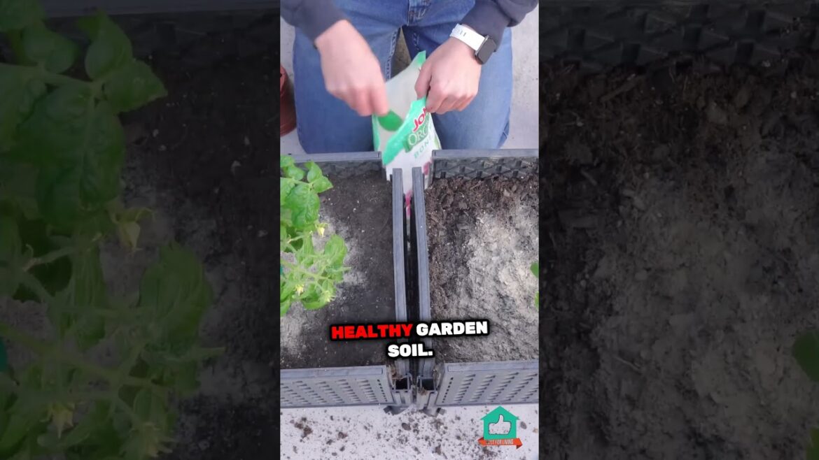 Why You Need More Fertilizer For Container Gardening!  #home #garden #homegarden #gardening #diy