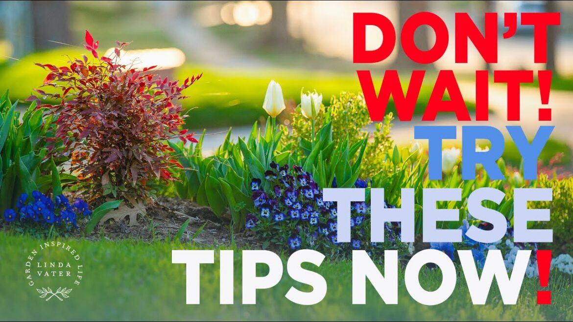 Garden Show and Tell With Lots of Tips Garden Show and Tell With Lots of Tips