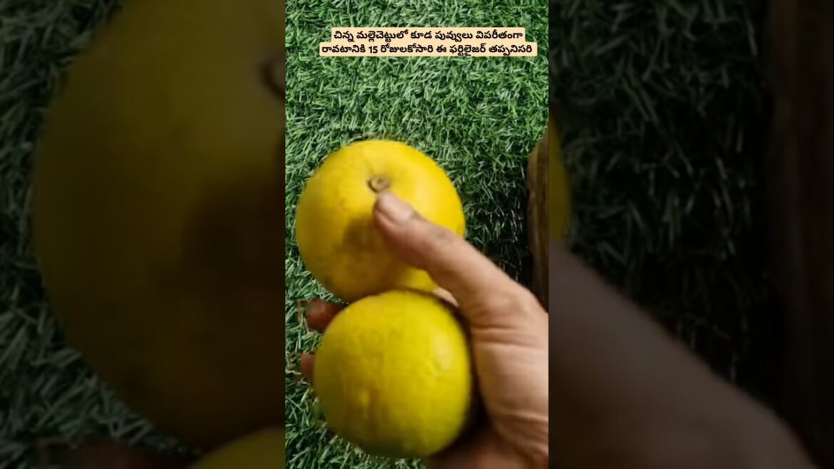 For more details watch full video👆 For more details watch full video👆