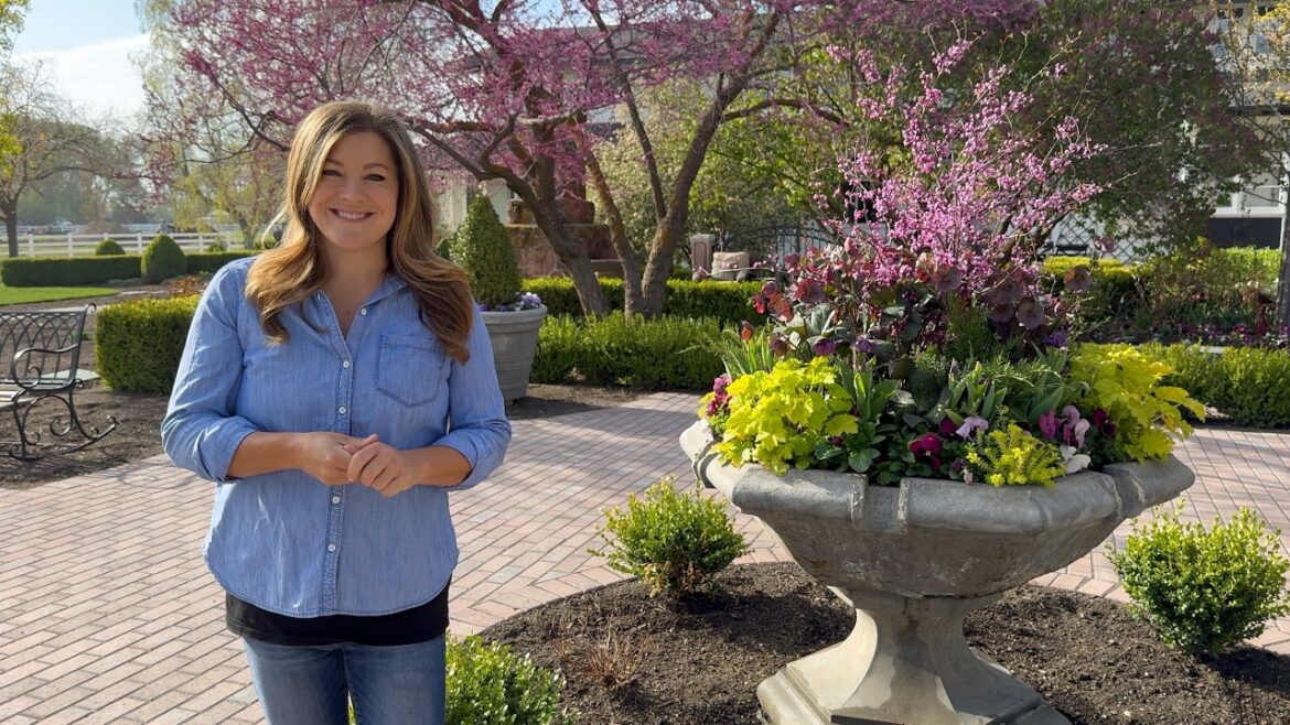 Garden Answer: April Garden Tour! 🌿 // Garden Answer April Garden Tour! 🌿 // Garden Answer