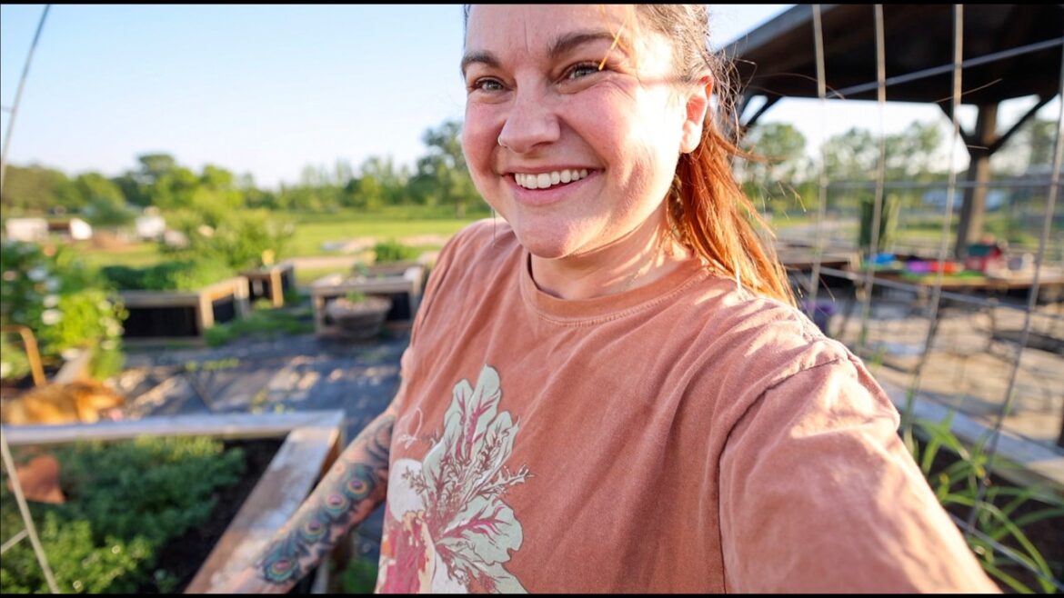 Roots and Refuge Farm: Planting lots of seeds (an evening in the garden) | VLOG Planting lots of seeds (an evening in the garden) | VLOG