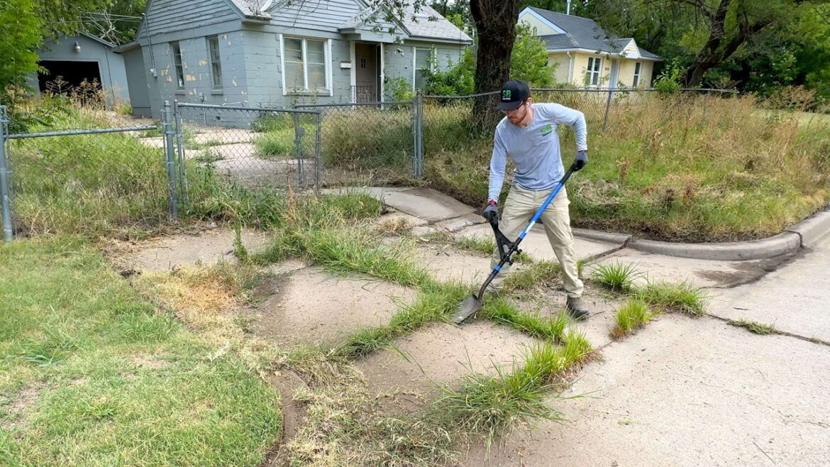 She Couldn’t AFFORD to Keep It Clean Anymore, So I Stepped In