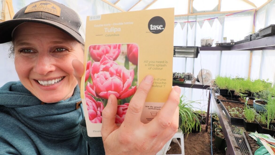 Garden Tour Week 2 | Fun Seed Haul & Cut Flower Garden Plans