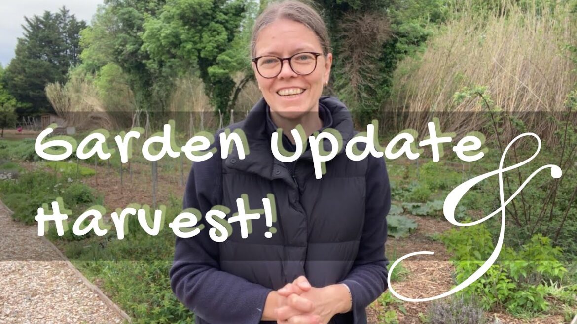 Vegetable Garden Harvest & Exciting Spring Garden Plans | Progress Update & Vision Tour Vegetable Garden Harvest & Exciting Spring Garden Plans | Progress Update & Vision Tour