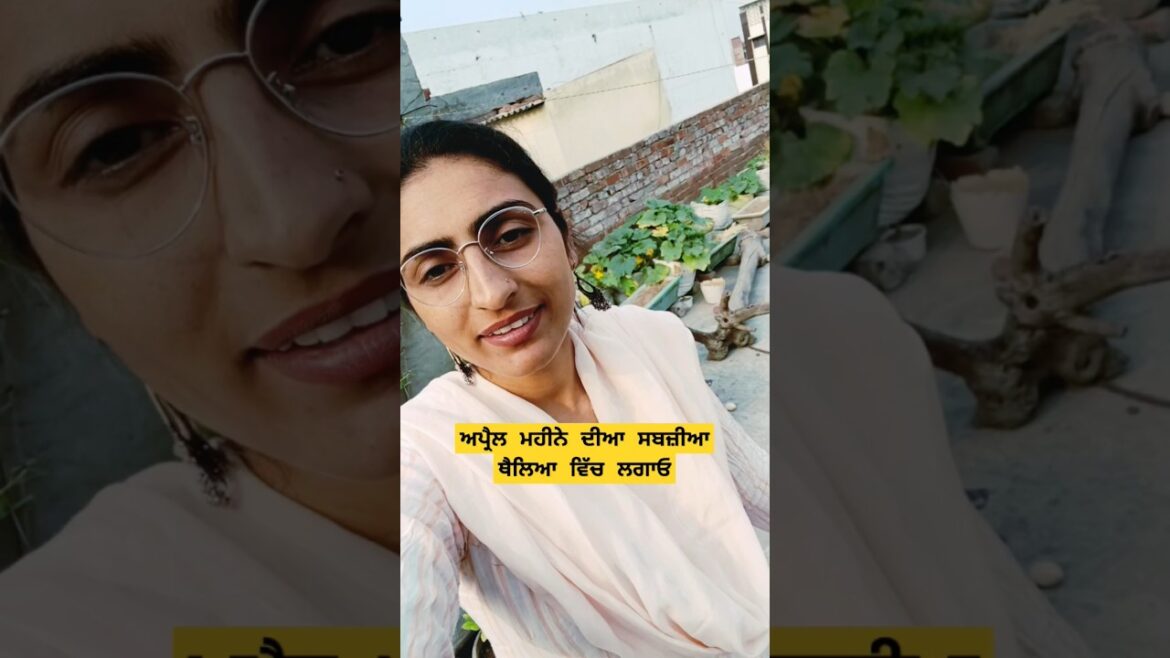 ਅਪ੍ਰੈਲ ਮਹੀਨੇ ਵਿੱਚ ਹੋਣ ਵਾਲੀਆ ਸਬਜ਼ੀਆ #summer #vegetables #trending #shorts #yt @OrganicGardening1918