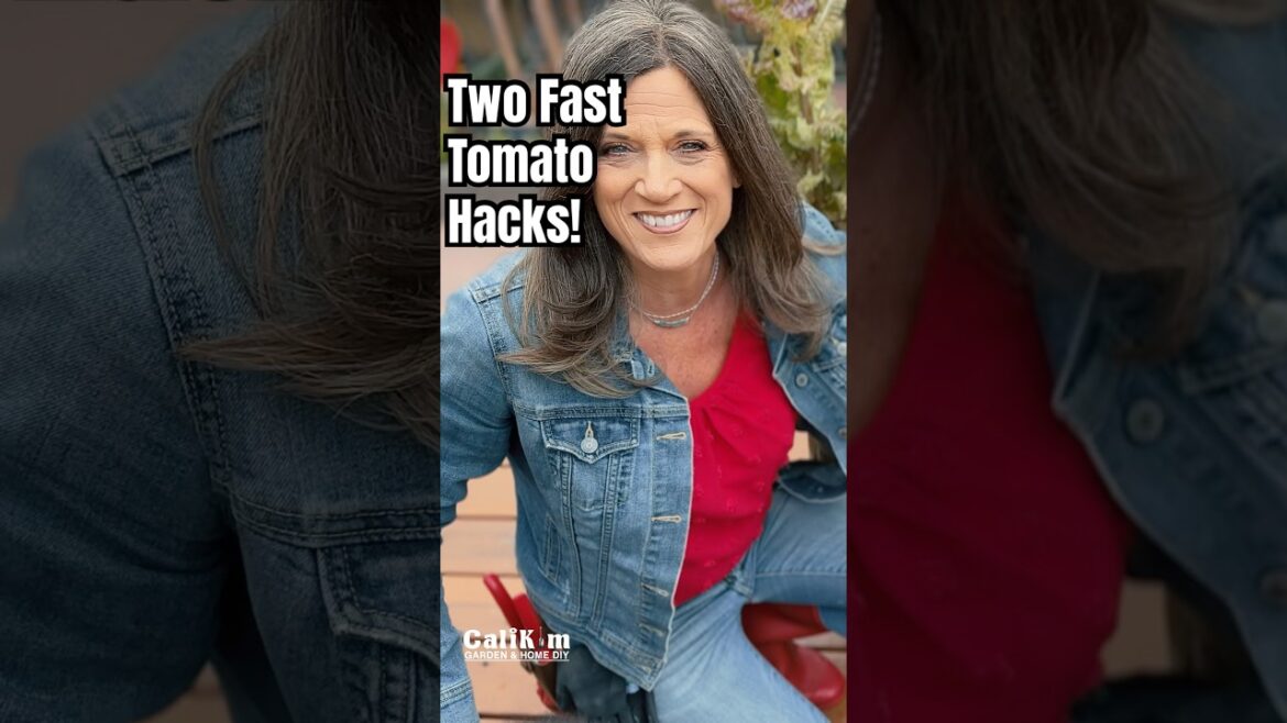 Two More Tomato Container  Hacks