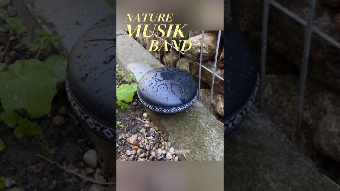 rain drum, nature musik band in backyard garden #shorts #raindrum #gardentools