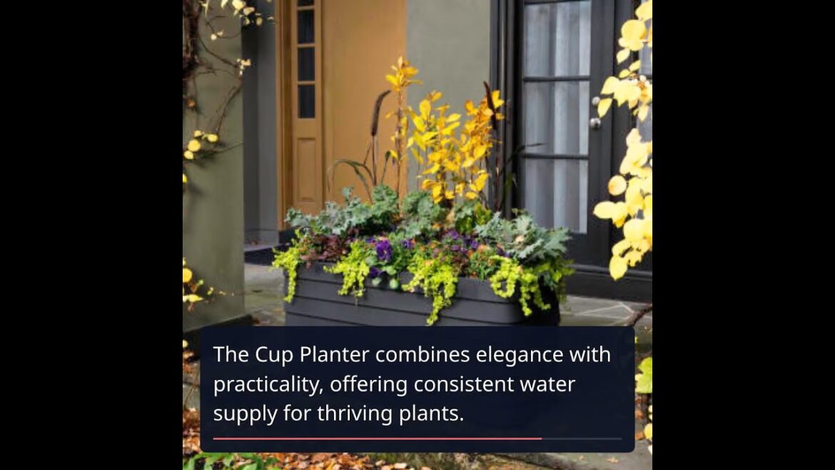 Transform Your Outdoor Space with Crescent Garden’s Planters Transform Your Outdoor Space with Crescent Garden's Planters