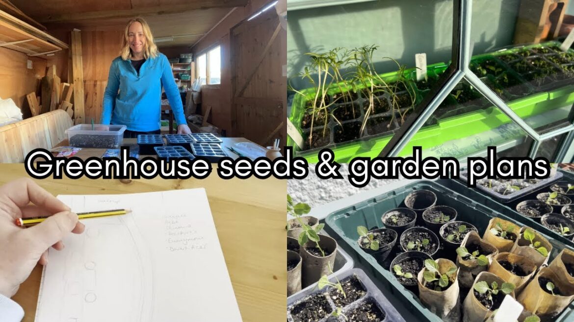 Greenhouse seeds and new garden plans Greenhouse seeds and new garden plans