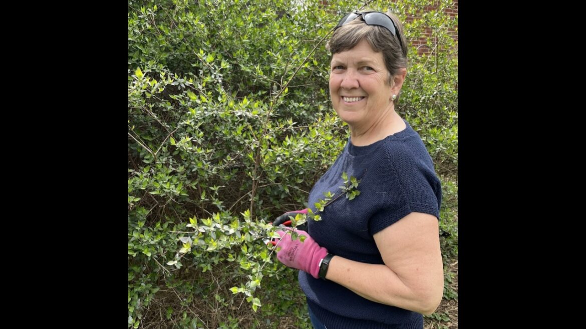 Spring Pruning Tips Spring Pruning Tips