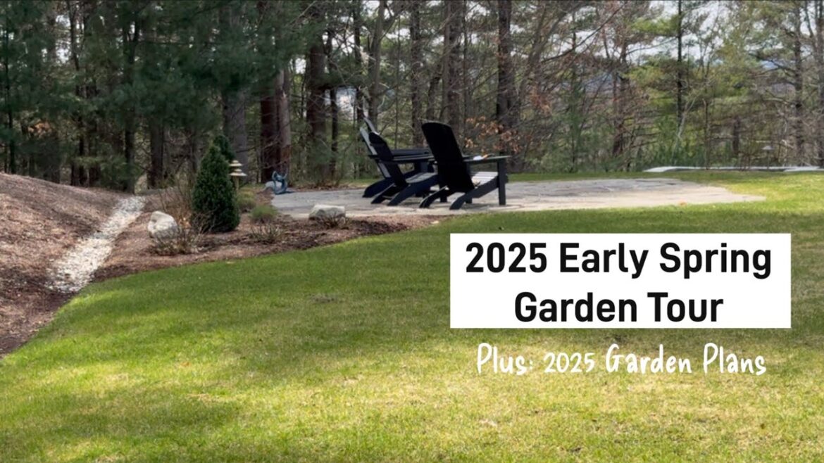 Garden Tour | 2025 Early Spring Garden Tour | Plus Garden Plans Garden Tour | 2025 Early Spring Garden Tour | Plus Garden Plans