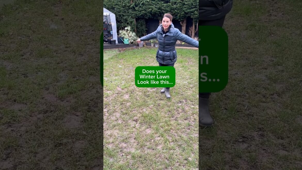 EASY Lawn Care! Ready to transform the lawn this spring #lawn #garden #gardening #gardeningtips en