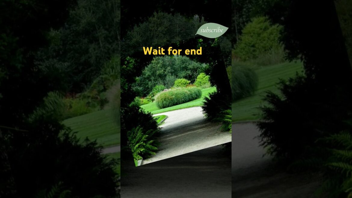 🔥 Stunning Gardens 2025 #shorts #viralshort 🔥 Stunning Gardens 2025 #shorts #viralshort