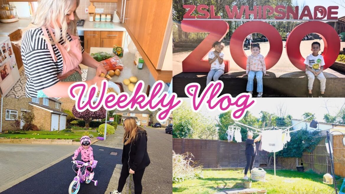 Weekly Vlog | Garden Plans |  Housewife #ukfamily #housewife #weeklyvlog #garden #perimenopause