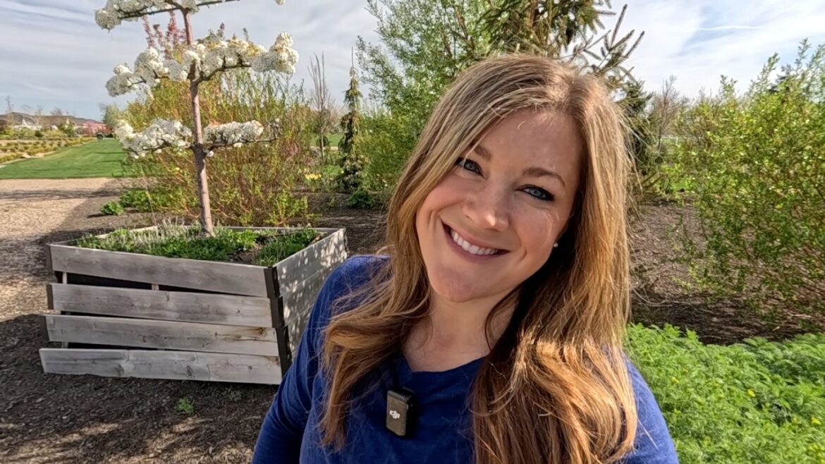 Garden Answer: Moving the Espalier Pear & the Maximilian Sunflower + New Hosta Planting! ๐๐๐ป // Garden Answer Moving the Espalier Pear & the Maximilian Sunflower + New Hosta Planting! ๐๐๐ป // Garden Answer