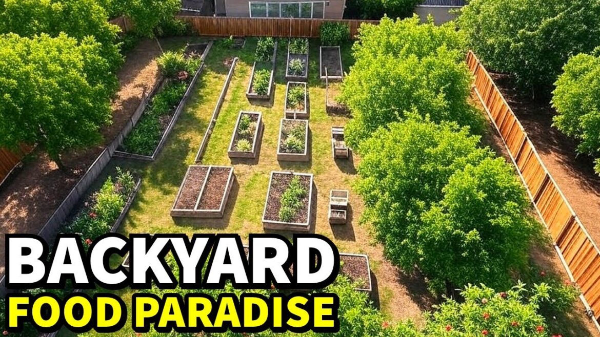 How I Transformed My Ordinary Yard Into A Food Paradise How I Transformed My Ordinary Yard Into A Food Paradise
