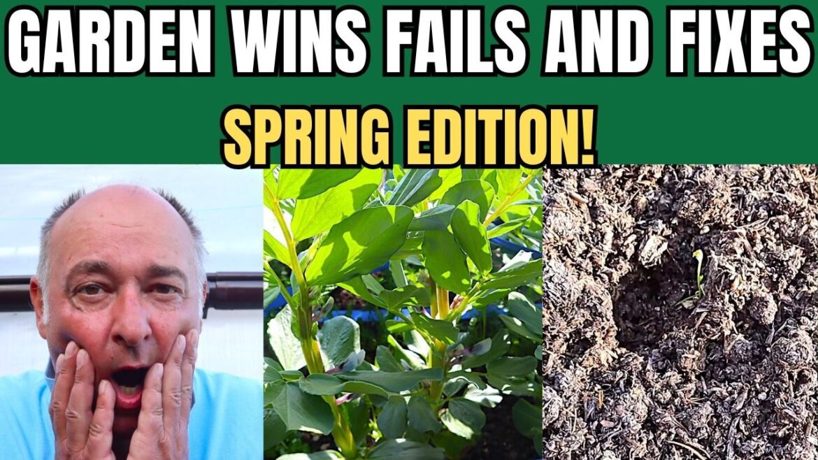 Spring Veg Garden Update – Real Results & Next Steps!