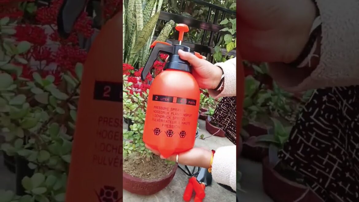 Must-Have Gardening Tools to Keep Your Plants Healthy and Thriving | Best Garden Kit #gardening Must-Have Gardening Tools to Keep Your Plants Healthy and Thriving | Best Garden Kit #gardening