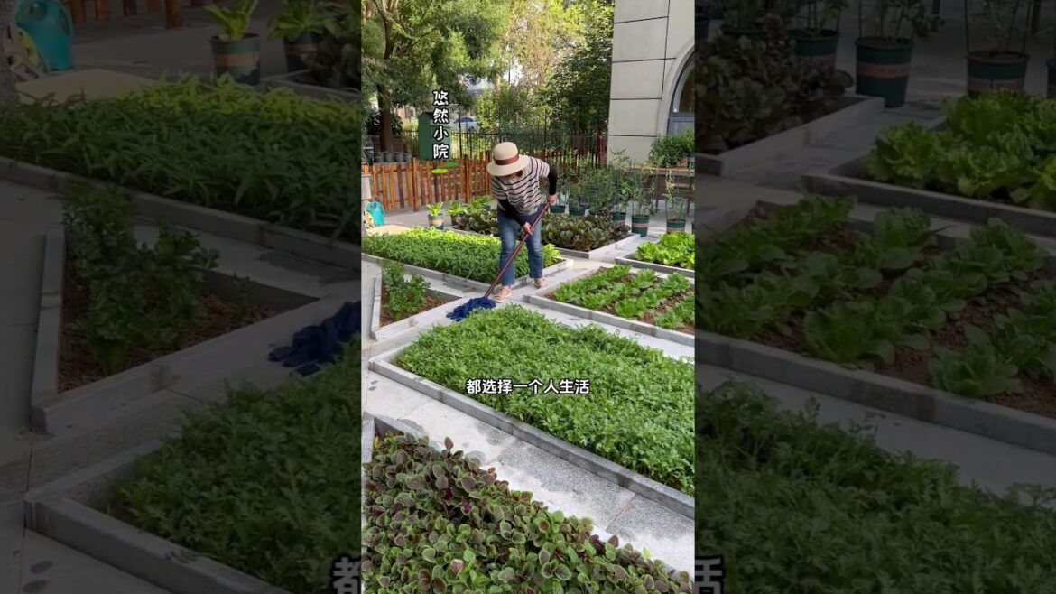 "Quick Gardening Tips for a Greener Home!" #shortvideo #garden #shorts #gardening