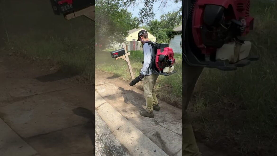 I brought in REINFORCEMENTS when I saw the state of this yard