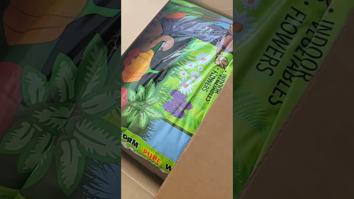 Seedling Supply Stockup! #shorts #seedlings