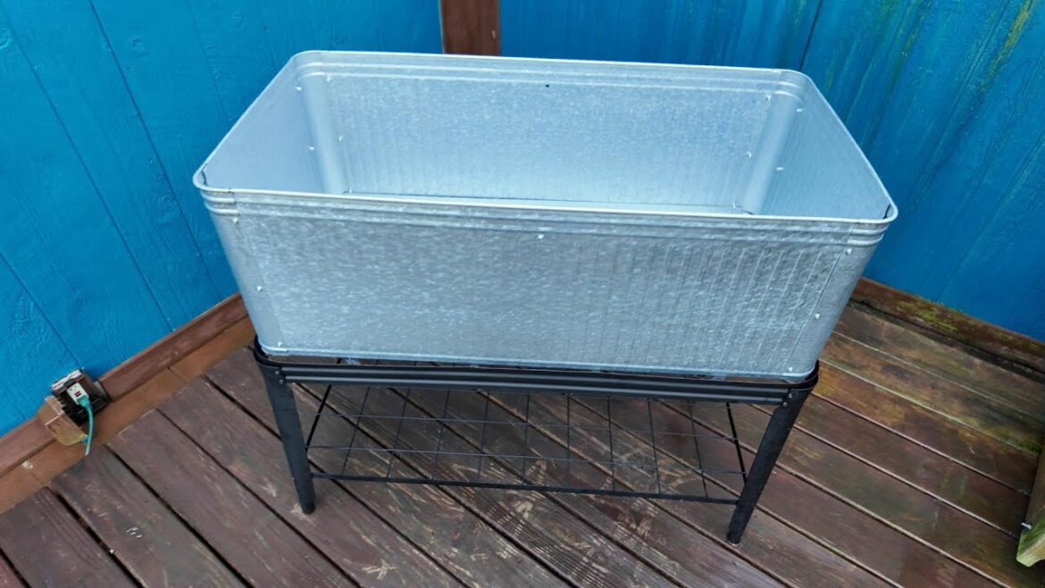 Taco Tuesday Rumble and Taco Garden plans