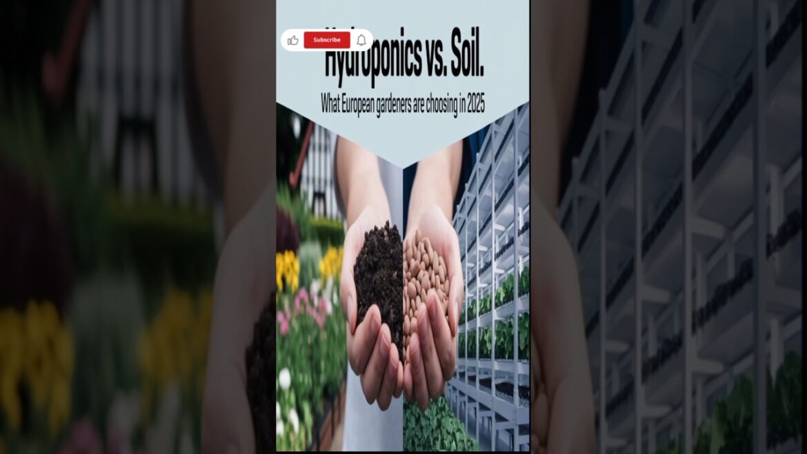 Hydroponics vs. Soil: What European Gardeners Are Choosing in 2025. I European Gardeners in 2025 I Hydroponics vs. Soil: What European Gardeners Are Choosing in 2025. I European Gardeners in 2025 I