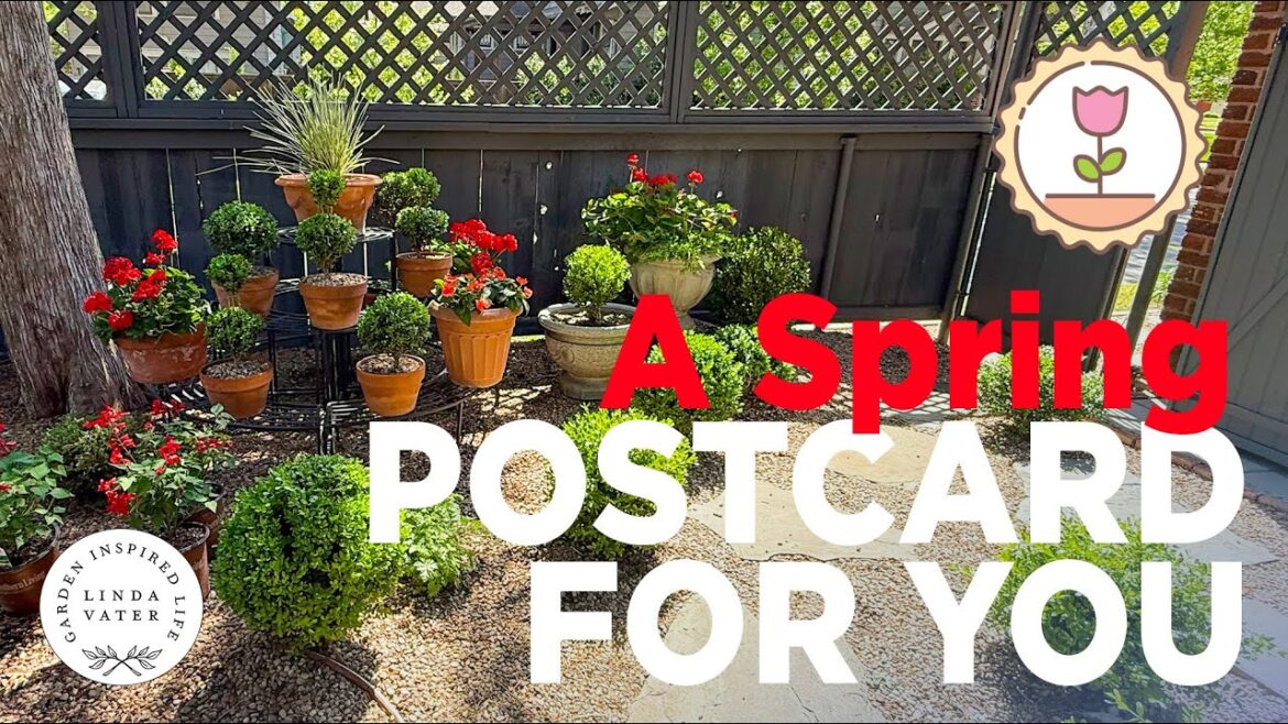 A Spring Cottage Postcard For You 🌷🏡